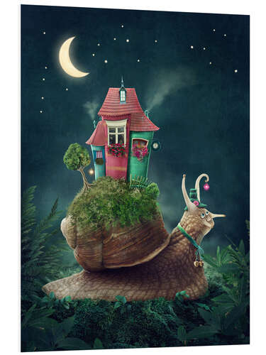 Foam board print Snail with home at nighttime