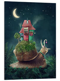 Gallery print Snail with home at nighttime