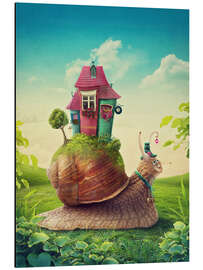 Aluminium print Snail with home