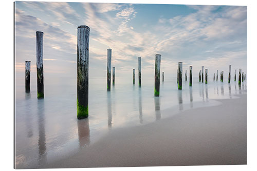 Galleritryk Poles at the Dutch Beach