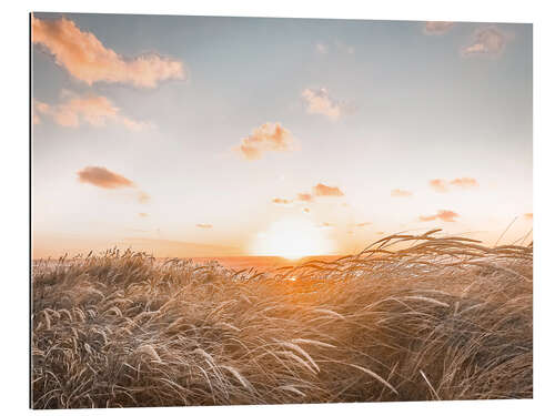 Quadro em plexi-alumínio Sunset on Sylt