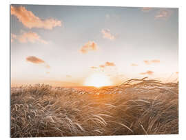 Quadro em plexi-alumínio Sunset on Sylt