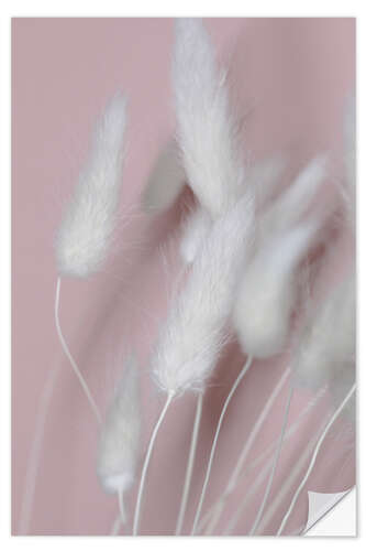 Selvklebende plakat Velvet grass white