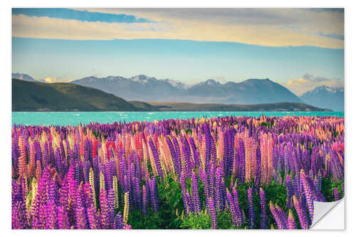 Wandsticker Lake Tekapo und blühende Lupinen