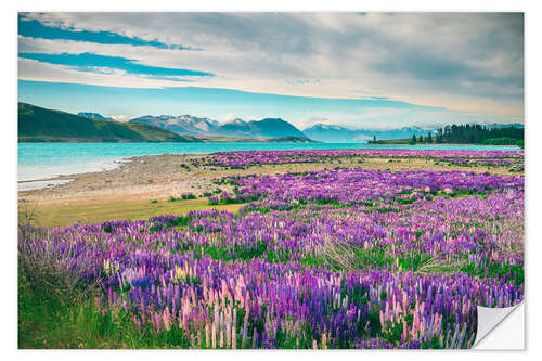 Sisustustarra Lake Tekapo and flowering of lupins