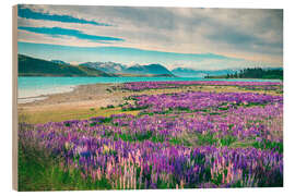 Obraz na drewnie Lake Tekapo and flowering of lupins