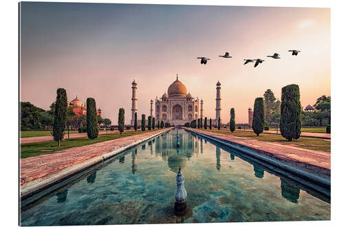 Tableau en plexi-alu Good Morning Agra