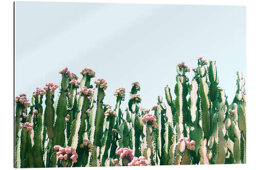 Galleriataulu Blush Cactus