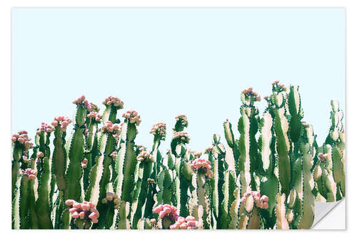 Selvklebende plakat Blush Cactus