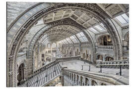 Aluminium print Natural History Museum London