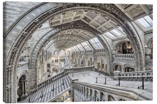 Canvas print Natural History Museum London