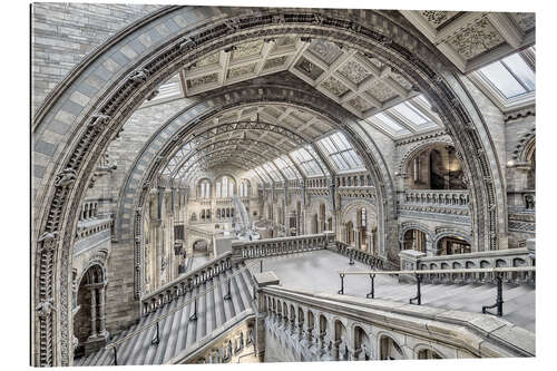 Gallery print Natural History Museum London