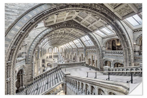 Naklejka na ścianę Natural History Museum London