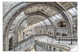 Selvklebende plakat Natural History Museum London