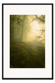 Gerahmter Kunstdruck Licht und Nebel in der Teufelschlucht in der Eifel