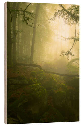 Tableau en bois Light and fog in the Teufelschlucht in the Eifel