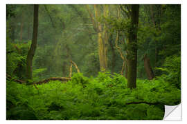 Wall sticker Green jungle in the Speulderbos in the Netherlands