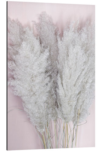 Tableau en aluminium Pampas grass on pink