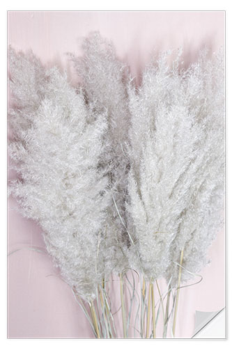 Sisustustarra Pampas grass on pink