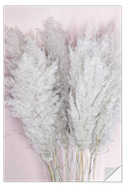 Wall sticker Pampas grass on pink