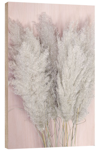 Hout print Pampas grass on pink