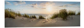 Foam board print Dune beach at sunset