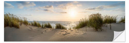 Naklejka na ścianę Dune beach at sunset