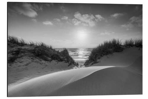 Aluminiumsbilde Dunes in black and white