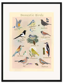 Gerahmter Kunstdruck Domestic Birds