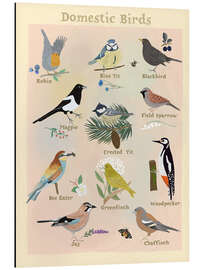 Magnettafel Domestic Birds