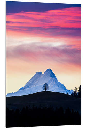 Aluminium print Lonely tree and Schreckhorn at sunrise