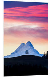 Foam board print Lonely tree and Schreckhorn at sunrise