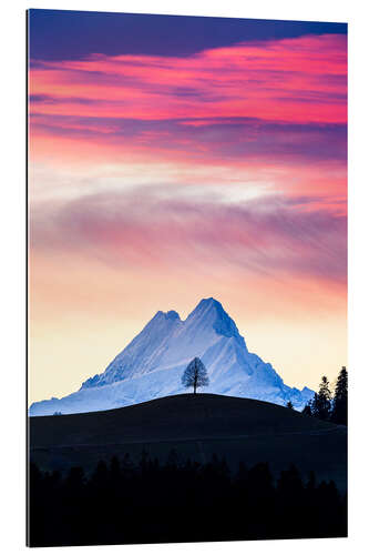 Gallery print Lonely tree and Schreckhorn at sunrise