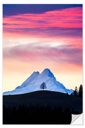 Selvklebende plakat Lonely tree and Schreckhorn at sunrise