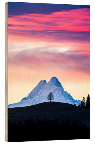 Wood print Lonely tree and Schreckhorn at sunrise