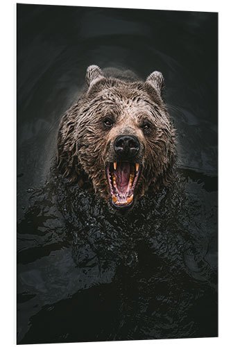 Tableau en PVC Bear in the water