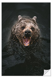 Selvklebende plakat Bear in the water