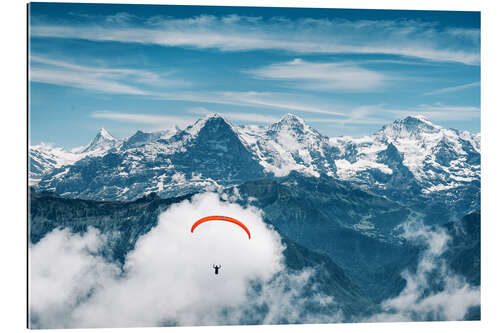 Gallery print Paraglider pilot in front of the Bernese Alps