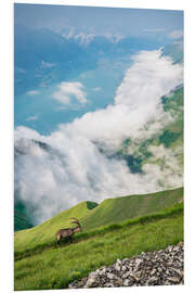 PVC-taulu Ibex in his realm high above Lake Brienz