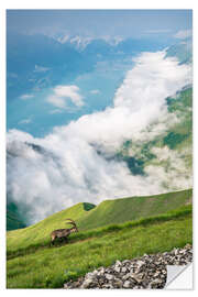 Selvklæbende plakat Ibex in his realm high above Lake Brienz