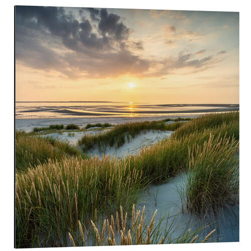 Aluminium print On the dune beach