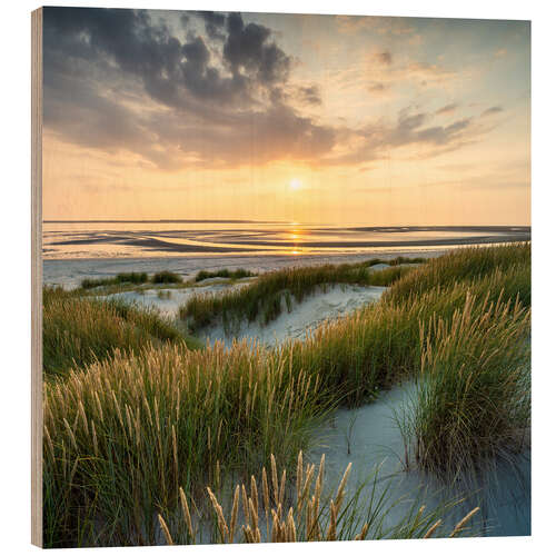 Wood print On the dune beach