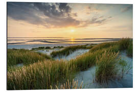 Quadro em alumínio Dune beach at sunset