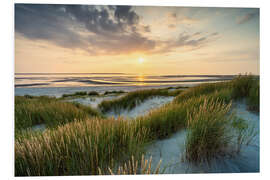 Foam board print Dune beach at sunset