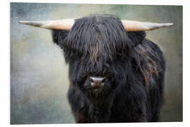 Hartschaumbild Kleiner schwarzer Stier