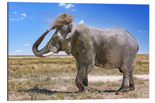 Alubild Elefant mit Staubwolke, Etosha, Namibia