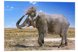 Cuadro de PVC Elephant with dust cloud, Etosha, Namibia