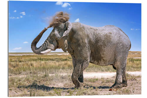 Galleriprint Elephant with dust cloud, Etosha, Namibia