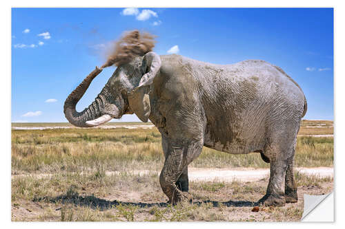 Wandsticker Elefant mit Staubwolke, Etosha, Namibia