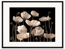 Gerahmter Kunstdruck Mohnblumen